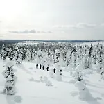 Yllaesrinne